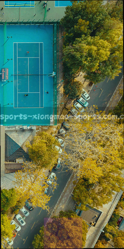 手机屏幕显示进失球对比面板示意图